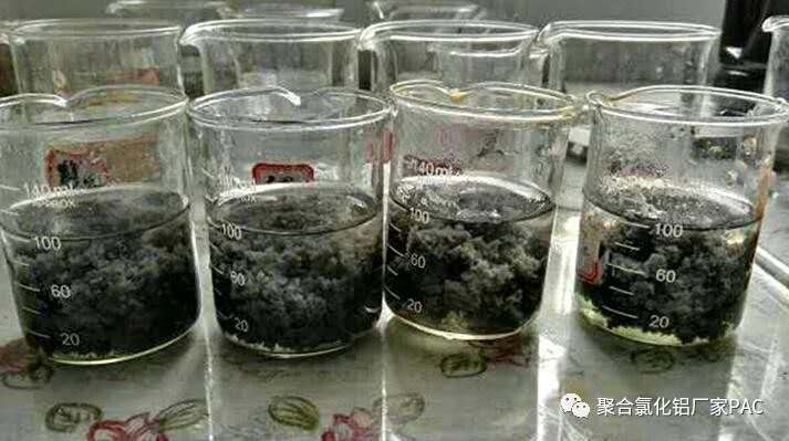 18474109352992872 18474109352992872