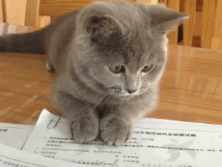 微信圖片_20190422092211 微信圖片_20190422092211