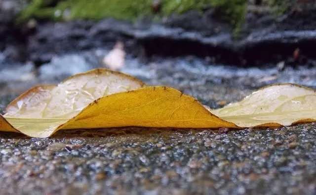 466776903007188386 466776903007188386